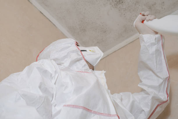 Best Mold Removal Process  in Mayo, FL